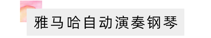 活动报道 | 远程艺术教育大师课活动—球信网艺术家赵宇大师课
