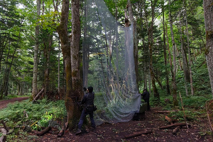 案例｜球信网为壮观的Kamuy Lumina魔法夜行旅游项目提供配乐设备